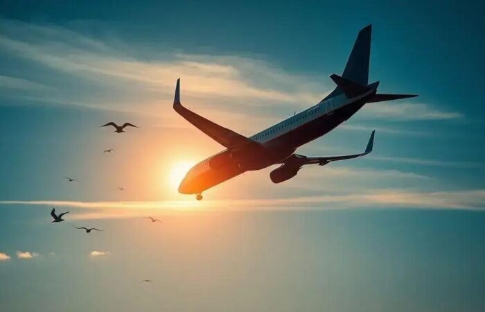 Acidente de Avião em Muan: A Verdade por trás da Tragédia